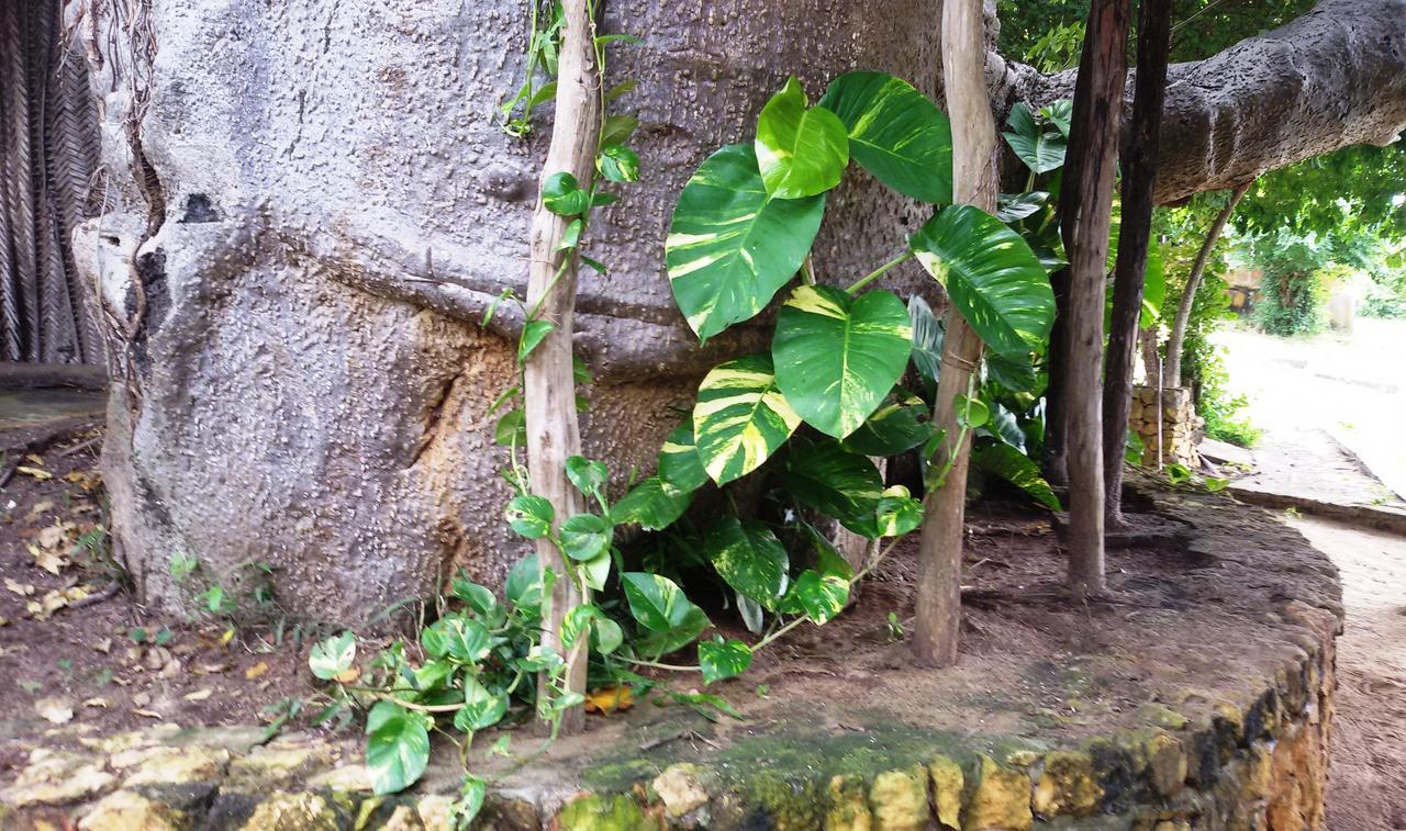 Bahari Pori Resort Pangani Esterno foto